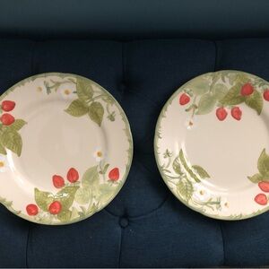Two Vintage Franciscan Strawberry Fair Dinner Plates cottage core